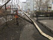 Роман айфон 258