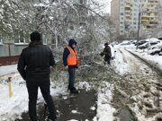 Роман айфон 217